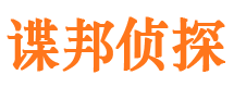 达日侦探